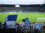 Werder Bremen - VfL Bochum - photo