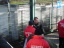 Energie Cottbus - VfL Bochum - photo