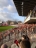 Energie Cottbus - VfL Bochum - photo