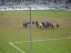 1860 M&uuml;nchen - VfL Bochum - photo