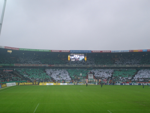Werder Bremen - VfL Bochum - photo