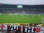Werder Bremen - VfL Bochum - photo