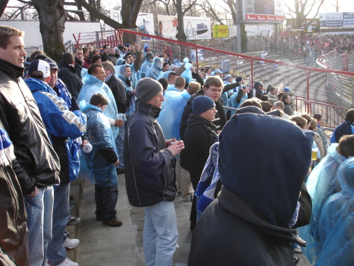 Energie Cottbus - VfL Bochum - photo