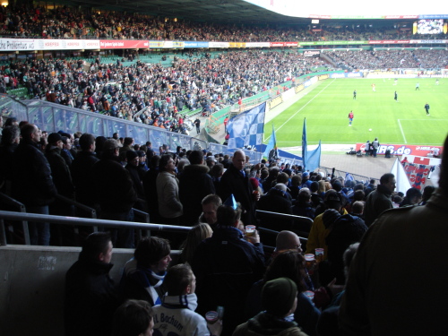 Werder Bremen - VfL Bochum - photo