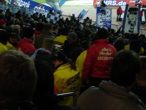 Werder Bremen - VfL Bochum - photo