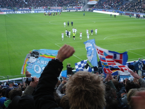 Eintracht Frankfurt - VfL Bochum - photo