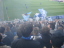 Eintracht Frankfurt - VfL Bochum - photo