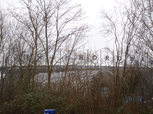 Hamburger SV - VfL Bochum - photo