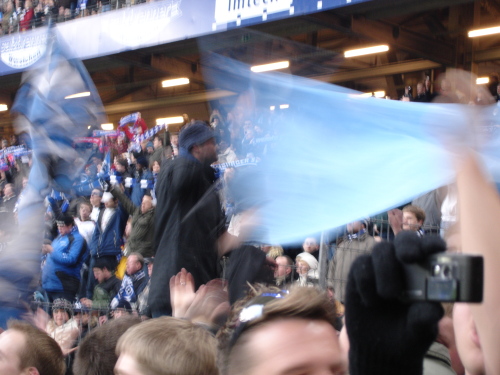 Hamburger SV - VfL Bochum - photo