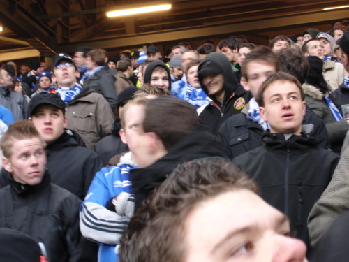 Hamburger SV - VfL Bochum - photo