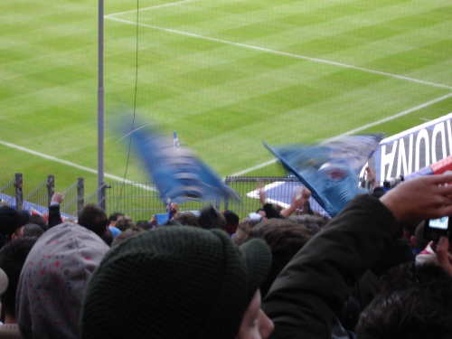 Hamburger SV - VfL Bochum - photo