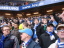 Hamburger SV - VfL Bochum - photo