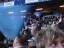 Hamburger SV - VfL Bochum - photo
