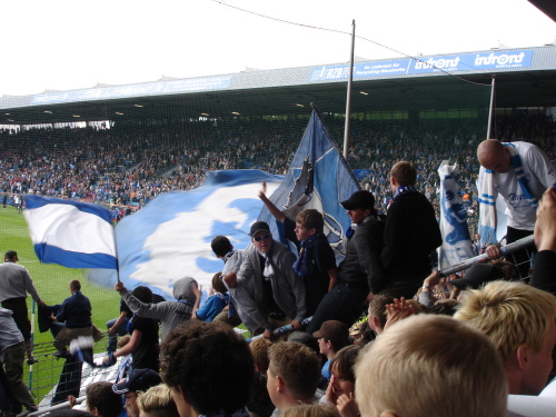 VfL Bochum - Eintr. Frankfurt - photo