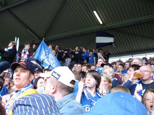 VfL Bochum - Eintr. Frankfurt - photo