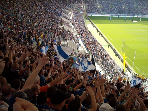 TSG Hoffenheim - VfL Bochum - photo