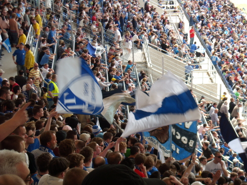 TSG Hoffenheim - VfL Bochum - photo