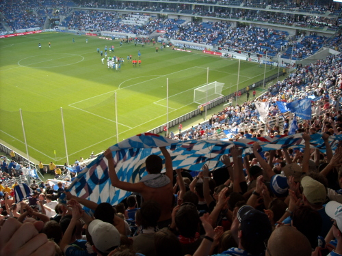 TSG Hoffenheim - VfL Bochum - photo