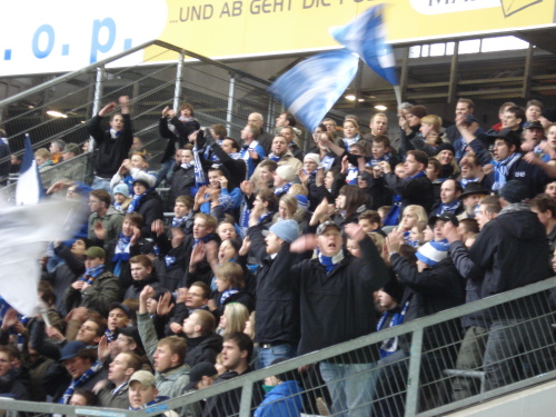 VfL Wolfsburg - VfL Bochum - photo