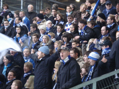 VfL Wolfsburg - VfL Bochum - photo