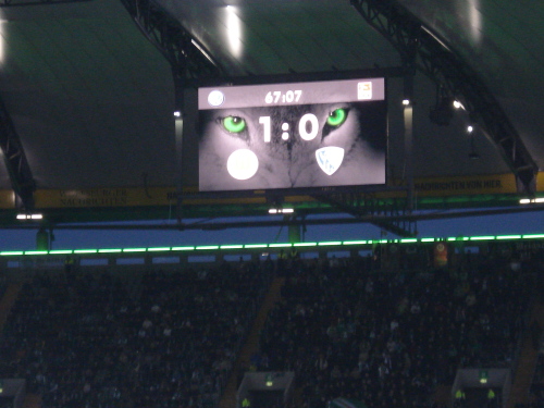 VfL Wolfsburg - VfL Bochum - photo