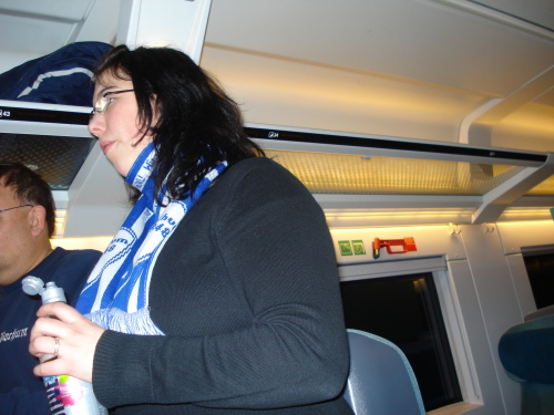 VfL Wolfsburg - VfL Bochum - photo