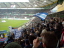 VfL Wolfsburg - VfL Bochum - photo