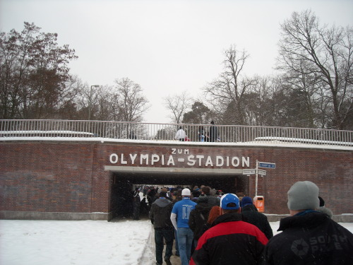 Hertha BSC - VfL Bochum - photo
