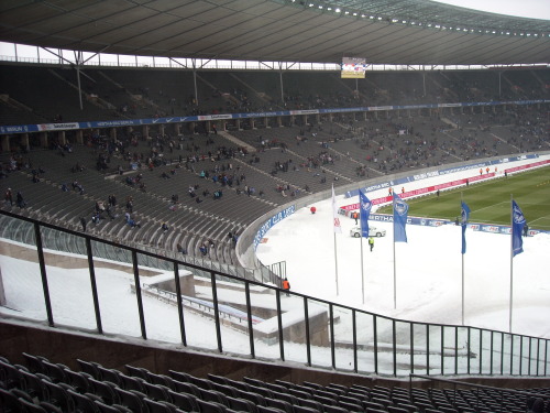 Hertha BSC - VfL Bochum - photo