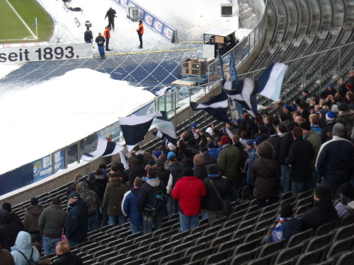 Hertha BSC - VfL Bochum - photo