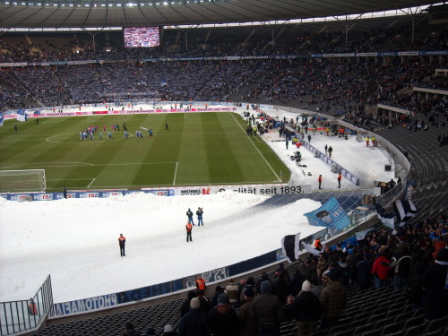 Hertha BSC - VfL Bochum - photo
