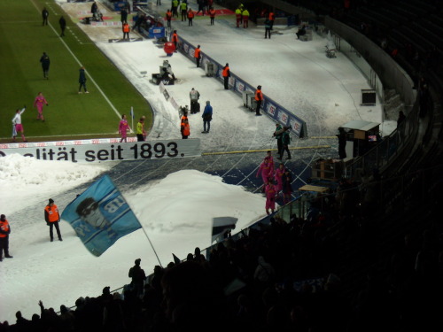 Hertha BSC - VfL Bochum - photo