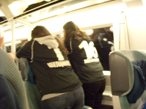 Hertha BSC - VfL Bochum - photo