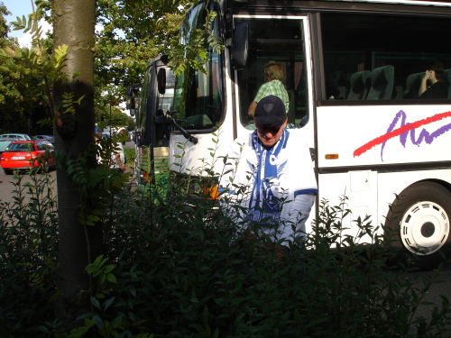 Bayer Leverkusen - VfL Bochum - photo