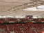 Bayer Leverkusen - VfL Bochum - photo