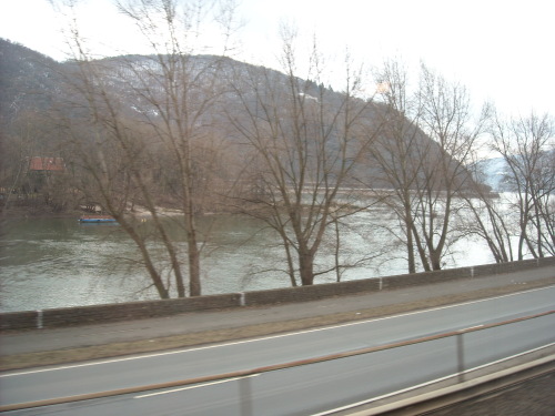 FSV Mainz - VfL Bochum - photo