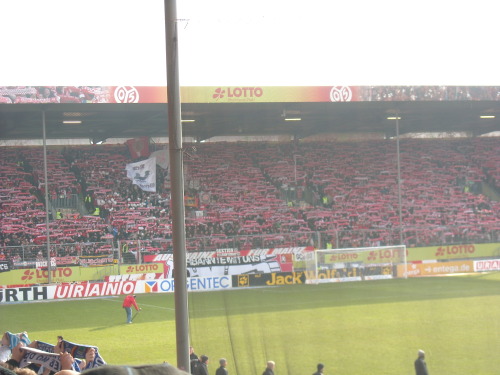FSV Mainz - VfL Bochum - photo