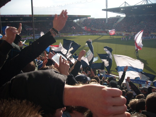 FSV Mainz - VfL Bochum - photo