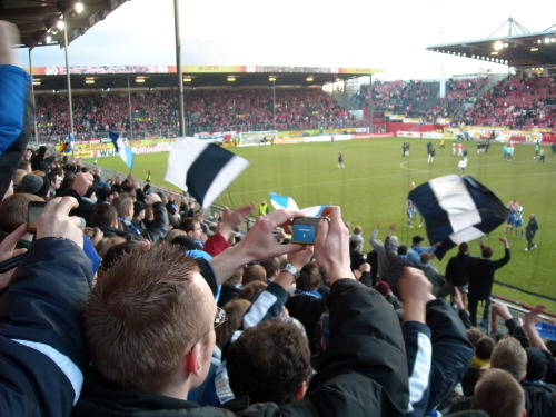 FSV Mainz - VfL Bochum - photo