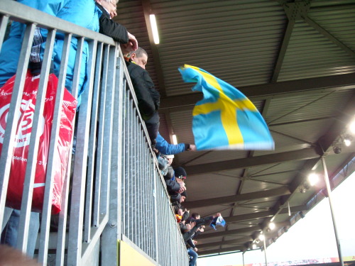 FSV Mainz - VfL Bochum - photo