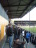 FSV Mainz - VfL Bochum - photo