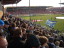 FSV Mainz - VfL Bochum - photo