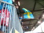 FSV Mainz - VfL Bochum - photo